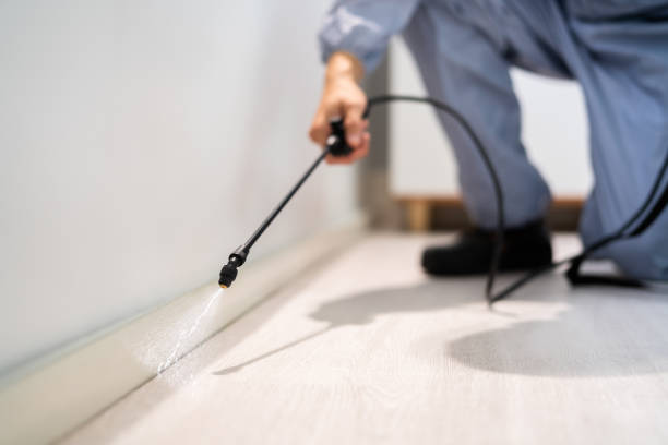 Certified termite inspector examining foundation in Monroe